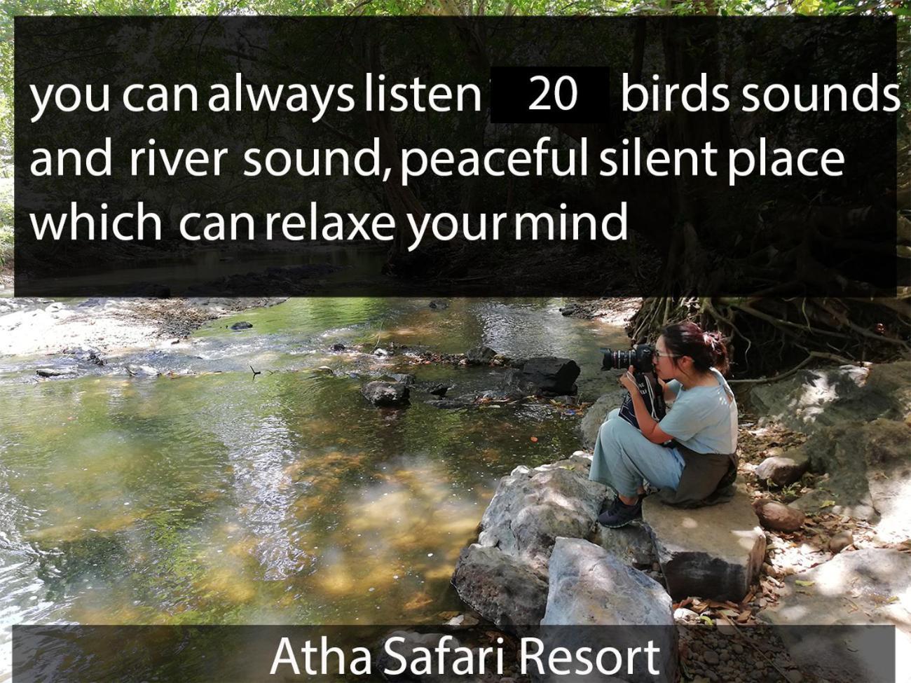 Atha Safari Resort & Riverside Camping اوداوالاوي المظهر الخارجي الصورة