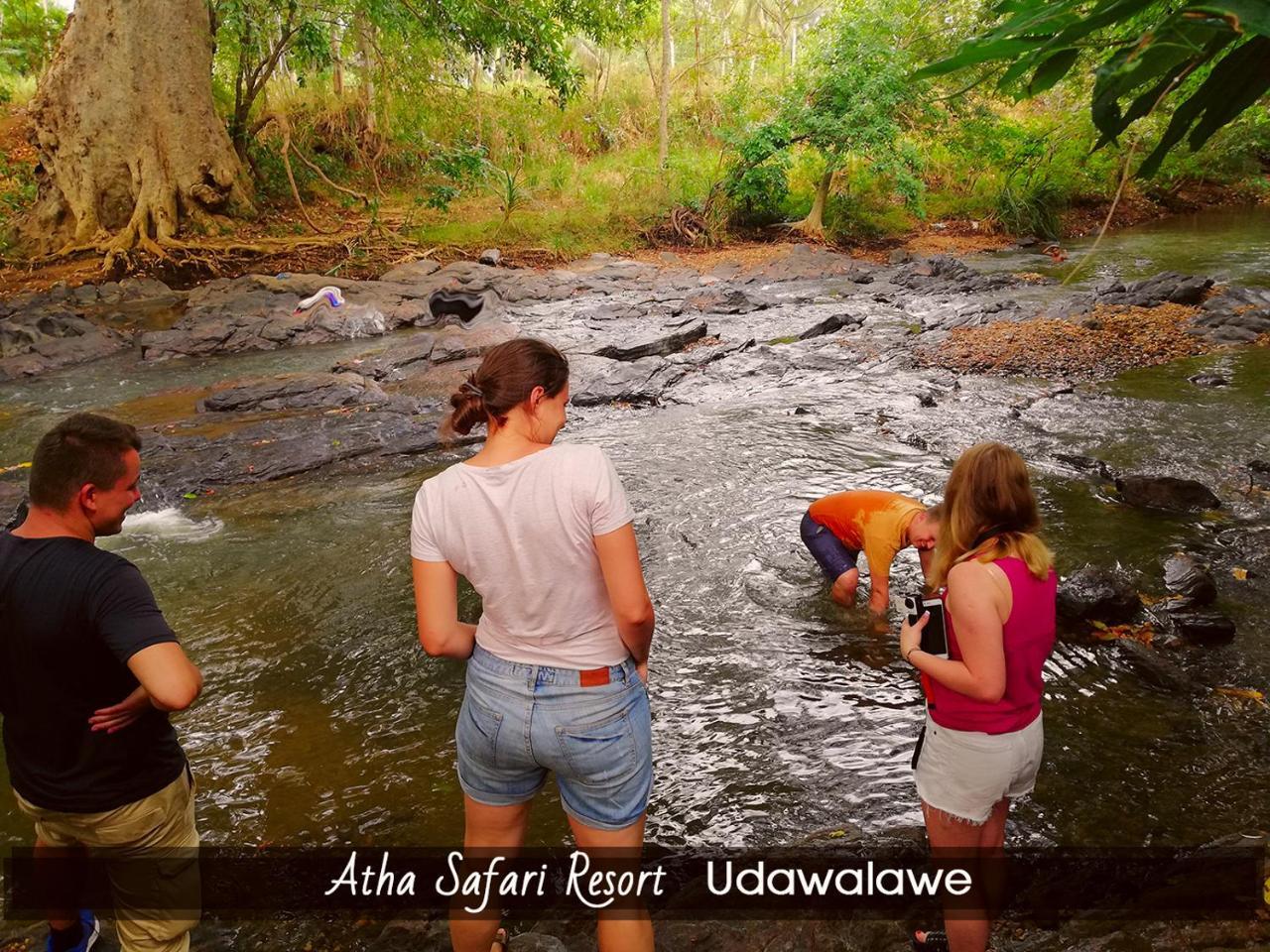 Atha Safari Resort & Riverside Camping اوداوالاوي المظهر الخارجي الصورة