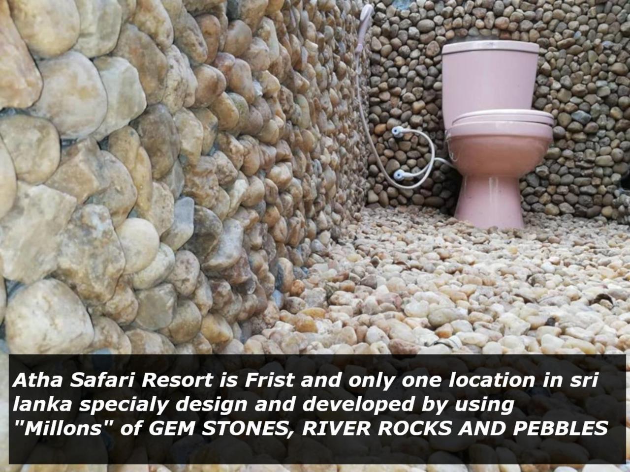 Atha Safari Resort & Riverside Camping اوداوالاوي المظهر الخارجي الصورة