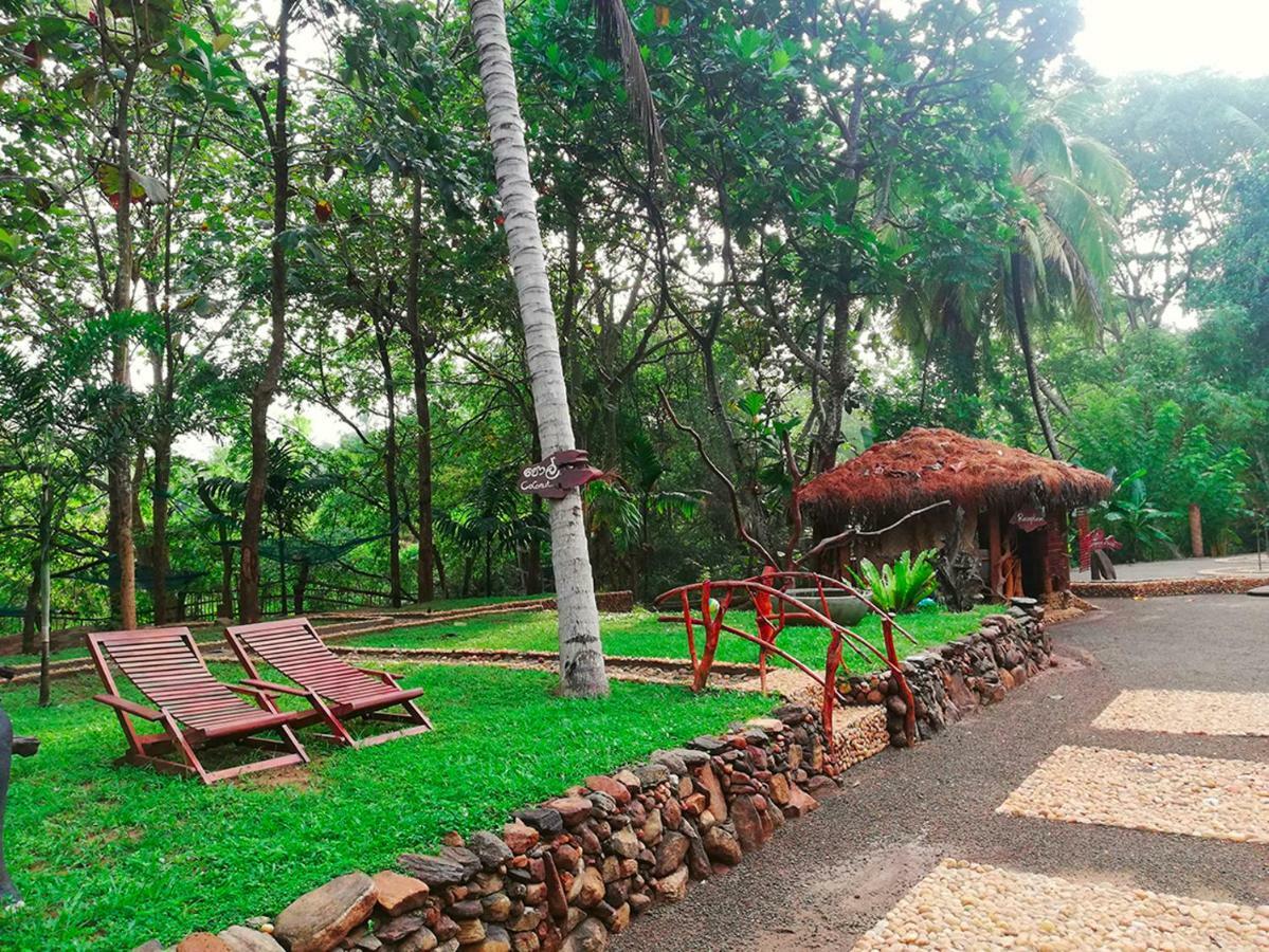 Atha Safari Resort & Riverside Camping اوداوالاوي المظهر الخارجي الصورة