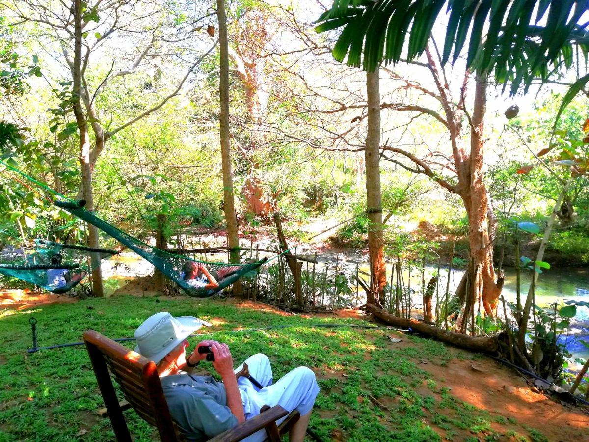 Atha Safari Resort & Riverside Camping اوداوالاوي المظهر الخارجي الصورة